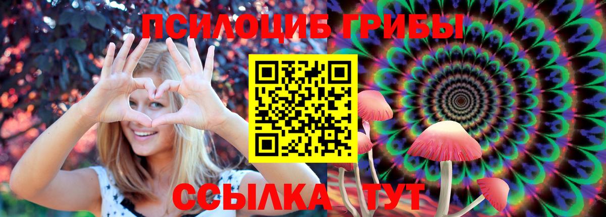 купить   Галлюциногенные грибы Magic Shrooms  Псилоцибиновые грибы ЛСД  Вход с VPN  Сызрань 