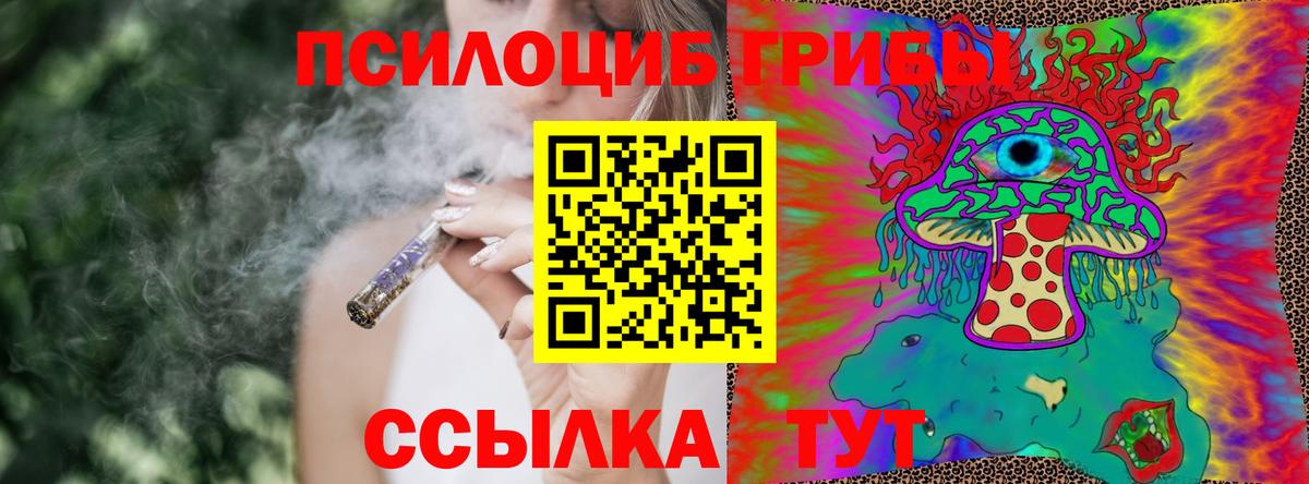 Галлюциногенные грибы Psilocybe Сызрань